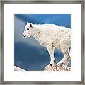 At The Top Of The Rockies #3 Framed Print