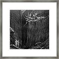 Attack Of The Giapeans Framed Print