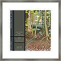 Audubon Forest Hydrology Poster Framed Print