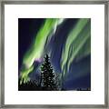 Aurora Grasp Framed Print