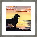 Australian Shepherd Sunset Framed Print