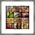 Australian Tree Bark - In The Wet Framed Print