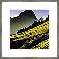 Austrian Alpine Framed Print