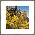 Autumn Along Kolob Creek Framed Print