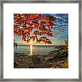 Autumn Bay Near Shovel Point Framed Print
