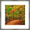 Autumn Bend - Allaire State Park Framed Print