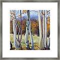 Autumn Birches Framed Print