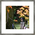Autumn Blue Bird Framed Print
