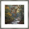 Autumn By The Creek Framed Print