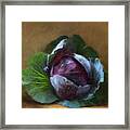 Autumn Cabbage Framed Print