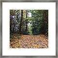 Autumn Carpet Framed Print