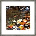 Autumn Cascade Framed Print