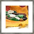 Autumn Collection Framed Print