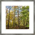 Autumn Color Reflections Framed Print