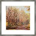 Autumn Colors Framed Print