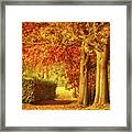 Autumn Colors Framed Print