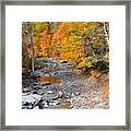 Autumn Creek 6 Framed Print