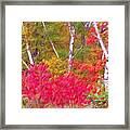 Autumn Decor Framed Print