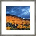 Autumn Desert Colors Framed Print