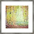 Autumn Dreams Framed Print