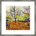 Autumn Fall Colors - Shrubs, Ferns, And Stormy Skies Ap Framed Print