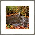 Autumn Flow Framed Print