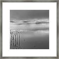 Autumn Fog Black And White Framed Print