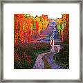 Autumn Forest Track Framed Print