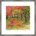 Autumn Forest Watercolor Illustration Framed Print