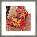 Autumn Gathering Framed Print