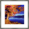 Autumn Glow Before Sunrise In The Blue Ridge Ap Framed Print