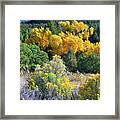 Autumn In The Canyon Framed Print
