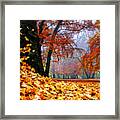 Autumn In The Woodland Framed Print