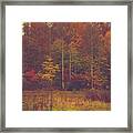 Autumn In West Virginia Framed Print