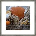 Autumn Is Coming To An End Framed Print