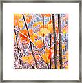 Autumn Leaves 2 Pdae Framed Print