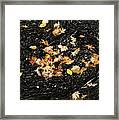 Autumn Leaves Abstract Framed Print