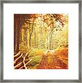 Autumn Lights Framed Print