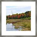 Autumn Marsh View Framed Print