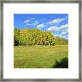 Autumn Meadow Framed Print