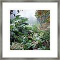 Autumn Mist, Great Dixter Garden Framed Print
