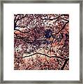 Autumn Mix. Airy Lace Of Autumn Framed Print