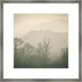 Autumn Morning Framed Print