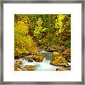 Autumn On Big Cottonwood River Framed Print