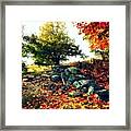 Autumn Orchard Framed Print