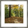 Autumn Park Framed Print