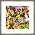 Autumn Pastels Framed Print