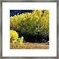 Autumn Pasture Framed Print