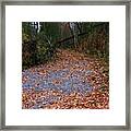 Autumn Path Framed Print