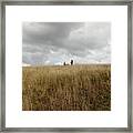 Autumn Play At Max Patch Framed Print